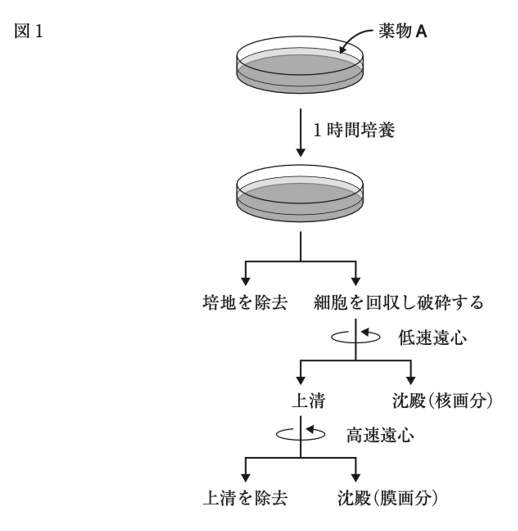 解説画像
